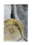 Wallity Polybaby 40 - 70 x 120 Multicolor